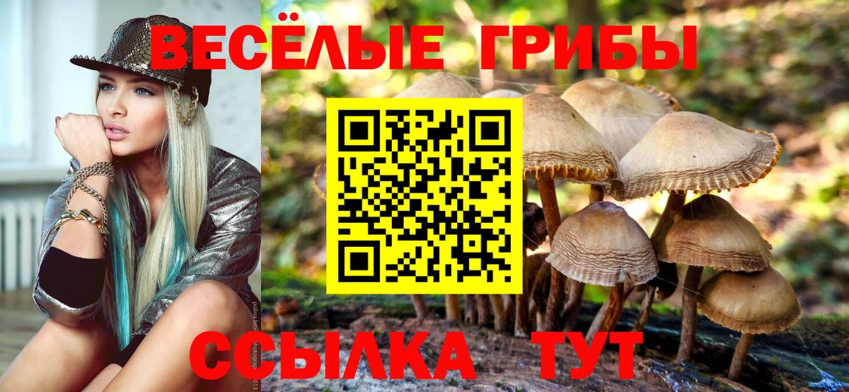 Галлюциногенные грибы мухоморы Вичуга