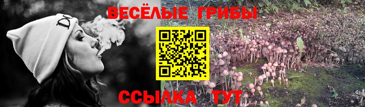 Вичуга  Галлюциногенные грибы мицелий  Вход с VPN 